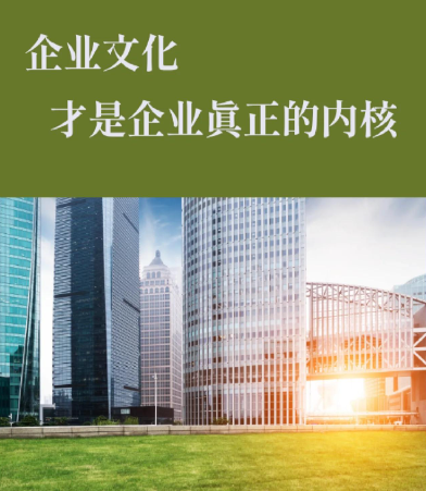 2024年企业弱电工程项目验收标准与佳源伟业实施规范解读